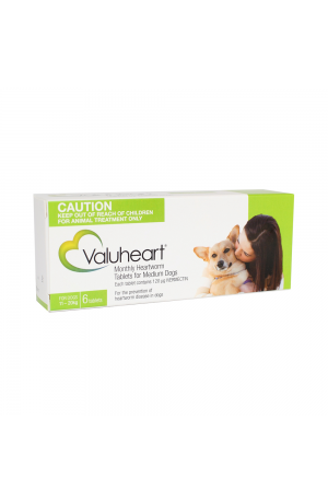 Valuheart Medium Dog Green