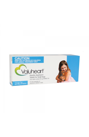 Valuheart Small Dog Blue