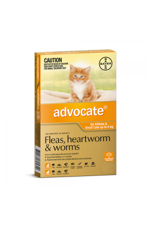 Advocate Small Cats Orange 0-4kg