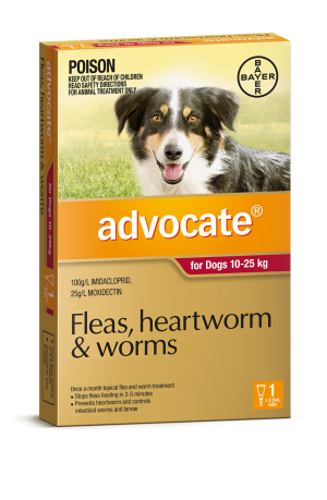 Advocate Red Large Dogs 10-25kg 1 Pack