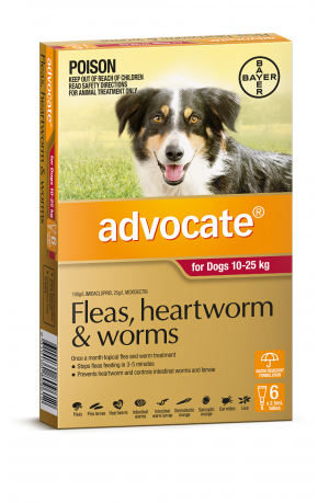 Advocate Red Large Dogs 10-25kg 6 Pack