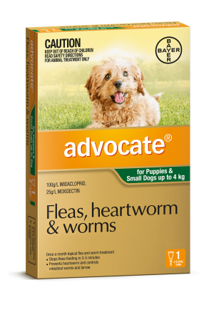 Advocate Green Small Dogs 0-4kg 1 Pack