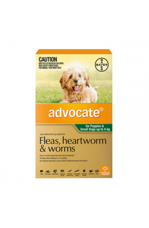 Advocate Small Dog Green-3pk