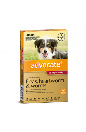 Advocate Large Dog Red