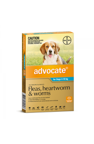 Advocate Medium Dog Aqua