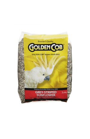 Golden Cob Grey Sunflower 3.25kg