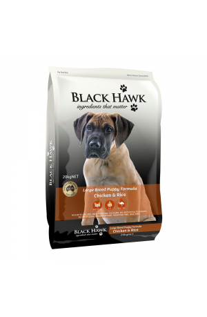 Black Hawk Large Breed Chicken Puppy