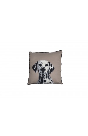 Mog and Bone Cushion Dalmatian