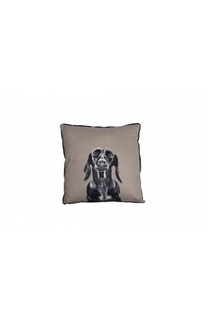 Mog and Bone Cushion Daschund