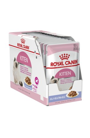 Royal Canin Feline Kitten Jelly 12 x 85g