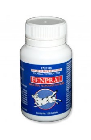 Fenpral All Wormer for Dogs 10kgs 100's