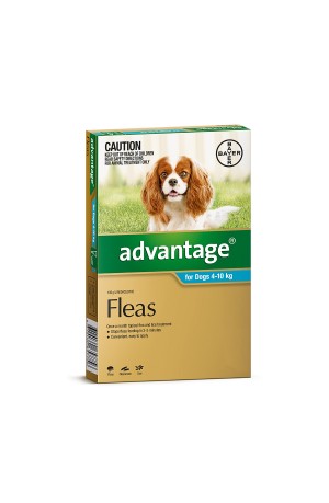 Advantage Medium Dog 4-10kg 1 Pack