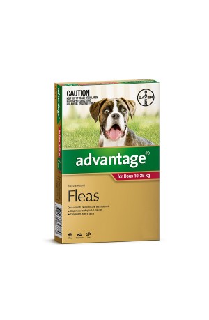 Advantage Large Dog 10-25kg 1 Pack
